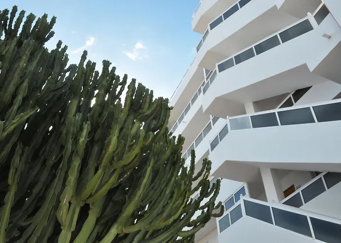 Apartamento: Apartamentos Calma